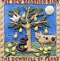 THE NEW SCORPION BAND - The Downfall Of Pears