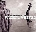 SHOOGLENIFTY - Live - Radical Mestizo
