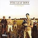 PINE LEAF BOYS - La Musique