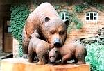 Die Redwood-Bärenfamilie