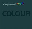 WHAPWEASEL – Colour