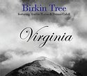 BIRKIN TREE feat. MARTIN HAYES & DENNIS CAHILL   Virginia