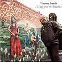 TOMMY SANDS – Arising From The Troubles
